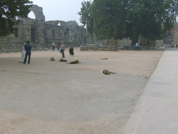 indien_047